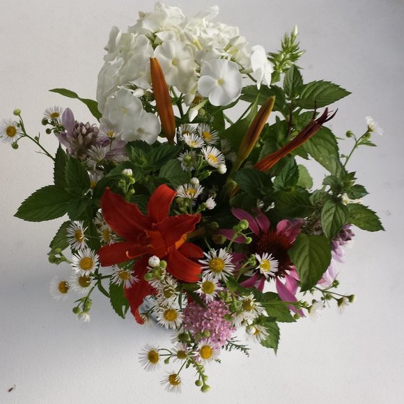 Meet your Posher, Maryna - Picture 2 of 2